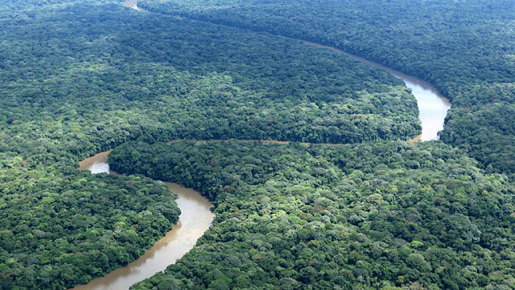 À terme, plus d’un million de tonnes de nourriture seront ainsi acheminées chaque année vers Kinshasa.