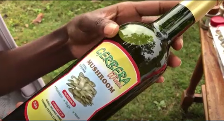 La production de ce vin unique repose sur un processus minutieux de fermentation, combinant les savoirs ancestraux et l’expertise scientifique 