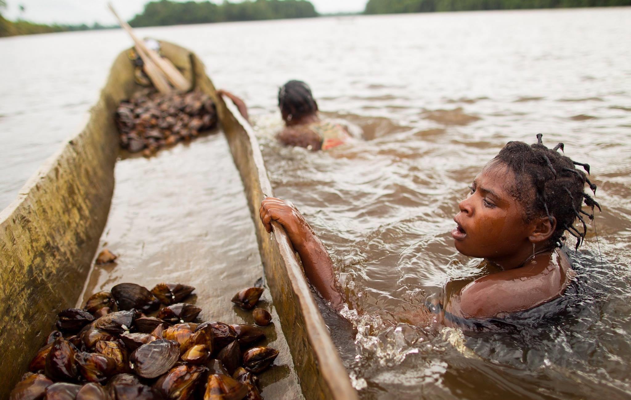 Deux jeunes filles qui pêchent les mollusques dans le parc marin des Mangroves, à proximité de Muanda
